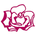 favicon rosina